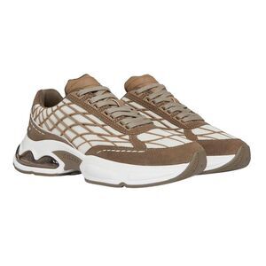 Mallet Womens/Ladies Neptune Leather Sneakers / Brown